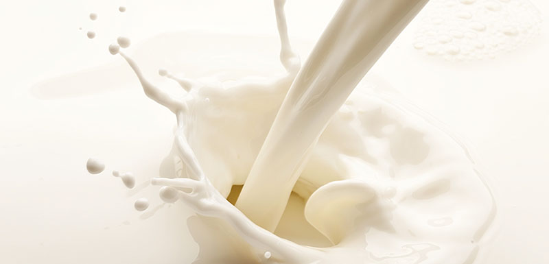 lait produits laitiers depression